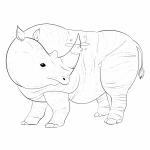 155.-Rhino